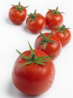 Rangée de tomates rouges mûres — Photo de stock