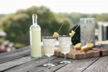 Colpo di gin in bottiglia con ananas — Foto stock