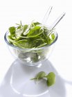 Raw spinach leaves in bowl — Stock Photo