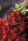 Fresh Raspberries with leaves — Stock Photo