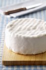 Brillat-Savarin cheese — Stock Photo