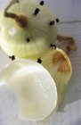 Onion studded with cloves — Stock Photo