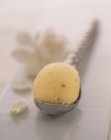 Мороженое с персиком и гарденией — стоковое фото