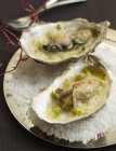 Grilled oysters with soft leeks — Stock Photo