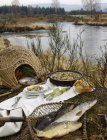 Meal prepared after fishing ontable over tall grass outdoors against water — Stock Photo