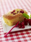 Fruit mini cake — Stock Photo