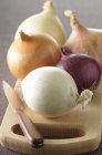 Assortment of fresh onions — Stock Photo