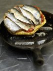 Tomato tart with sardines — Stock Photo