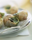Cooked snails  on white plate with fork — Stock Photo