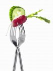 Forks with radish and cucumber — Stock Photo