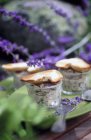 Potted sardines with toasts and lavender flowers — Stock Photo