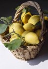 Frische Zitronen mit Blättern — Stockfoto