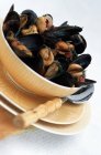 Mussels in white wine — Stock Photo