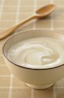 Closeup view of ceramic bowl of cream and spoon — Stock Photo