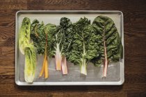 Fresh lettuce and chard leaves — Stock Photo
