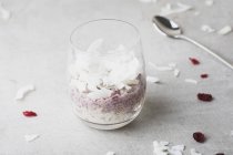 Pudim de arroz com cranberries e coco — Fotografia de Stock