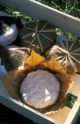 Fromage de chèvre banon — Photo de stock