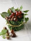 Closeup view of chestnuts and grapes with tied leaves — Stock Photo