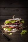 Sandwich de dos pisos - foto de stock
