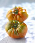 Tomates frescos colhidos — Fotografia de Stock