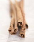 Cassia sticks  laying on white surface — Stock Photo