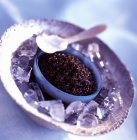 Tazón de caviar beluga - foto de stock