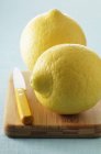 Citrones maduros frescos - foto de stock