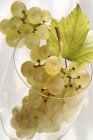 Білий виноград у винному келиху — стокове фото