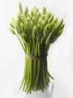 Un mucchio di asparagi verdi selvatici — Foto stock