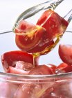 Ensalada de tomate en cucharas - foto de stock