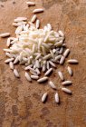 Невареные рисовые зерна — стоковое фото