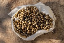 Семена кориандра в куче — стоковое фото
