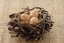 Fresh Eggs in nest — Stock Photo