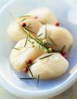 Closeup view of raw scallops with herbs in bowl — Stock Photo
