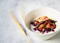 Greek yoghurt topped with quinoa and oats — Stock Photo