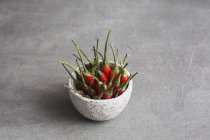 Bowl of fresh chillis — Stock Photo