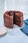 Chocolate layer cake — Stock Photo