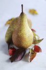 Fresh Autumn pears with leaves — Stock Photo