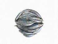 Haufen mit rohen Sardinen — Stockfoto
