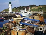 Vista diurna del mercado de pescado y mariscos en Belle Ile, Bretaña - foto de stock