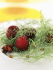 Primo piano vista delle ciliegie con erba e anice stella su piatto bianco — Foto stock