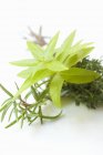 Herb bouquet with rosemary — Stock Photo