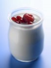Йогуртовий горщик з літніми фруктами — стокове фото