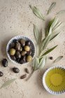Aceitunas con rama de olivo y aceite de oliva - foto de stock