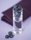 Ripe Bilberries in glass — Stock Photo
