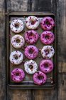 Doughnuts on a baking tray — Stock Photo