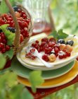 Closeup view of different berries with sugar and leaves on plates pile — Stock Photo