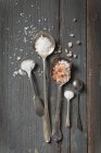 Cucchiai quattro riempiti con diversi tipi di sale — Foto stock