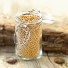 Small glass jar of mustard seeds — Stock Photo