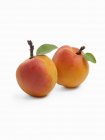 Два сырых абрикоса — стоковое фото